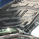 Image cropped from larger picture
